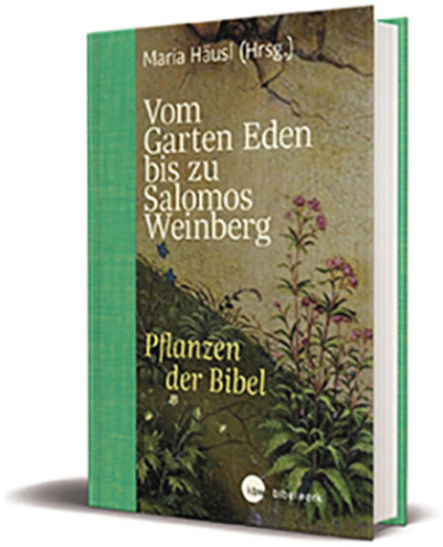 Vom Garten Eden bis zu Salomos Weinberg | Bundesamt für magische Wesen