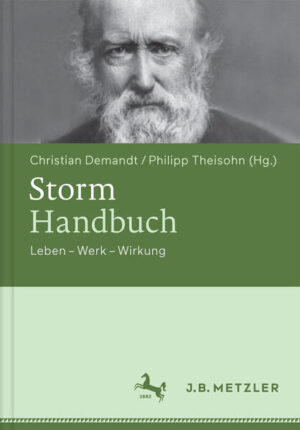 Storm-Handbuch | Bundesamt für magische Wesen