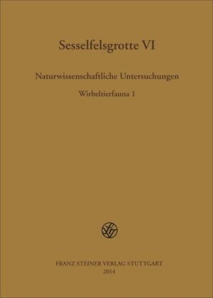 Sesselfelsgrotte VI | Bundesamt für magische Wesen