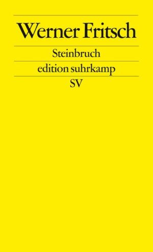 Werner Fritsch beschreibt in Steinbruch diese Welt aus der Sicht des Bundeswehrrekruten. Aber Steinbruch ist keine bloß antimilitaristische Erlebnisprosa und kein Erfahrungsprotokoll, sondern ein tobender und vom Grauen vorangetriebener innerer Monolog.