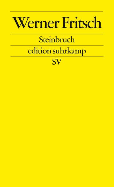 Werner Fritsch beschreibt in Steinbruch diese Welt aus der Sicht des Bundeswehrrekruten. Aber Steinbruch ist keine bloß antimilitaristische Erlebnisprosa und kein Erfahrungsprotokoll, sondern ein tobender und vom Grauen vorangetriebener innerer Monolog.