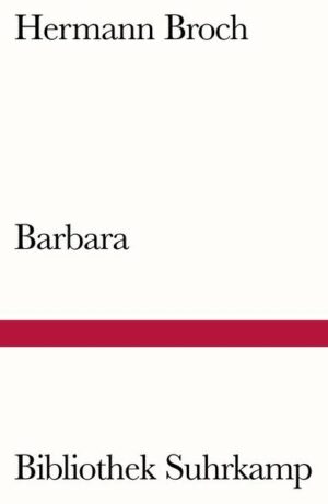 In den Jahren nach dem Ersten Weltkrieg begegnet ein leitender Arzt der Liebe seines Lebens in Gestalt einer jungen Kinderärztin. Auch »Doctor Barbara«, wie die Frau von den Kindern genannt wird, empfindet das Schicksalhafte der Begegnung - und weicht zurück. Nach einer schweren Kindheit und Jugend hat sie sich, wie zur Wiedergutmachung an anderen, ganz ihrem Beruf und der politischen Arbeit gewidmet.