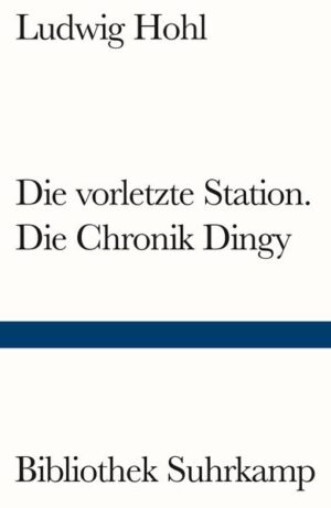 Der nachgelassene Bericht Die vorletzte Station, eine Chronik von Ludwig Hohls Aufenthalt im Bergdörfchen Dingy, schildert die reale Begegnung mit Georges Mergault, einer heruntergekommenen ehemaligen Montparnasse-Bekanntschaft. In der haltlosen und kranken Künstler-Existenz Mergaults sieht sich der Erzähler mit einem monströsen Gegenbild seiner Vorstellung vom richtigen Leben konfrontiert und zugleich mit eigenen Abgründen. In einzelnen Episoden, schwankend zwischen Abscheu und unterschwelliger Faszination, entsteht das Porträt einer Figur radikaler Unangepasstheit vor der Kulisse eines skurrilen Dorfalltags. Eine Sozialstudie von zuweilen grotesker Komik.