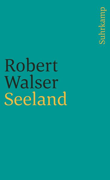 «Seeland» ist das Gebiet um den Bieler See, der Schauplatz von Robert Walsers zahlreichen Spaziergängen und Wanderungen, auf denen er mehr und Erstaunlicheres beobachtet und festgehalten hat als mancher Weltreisende.