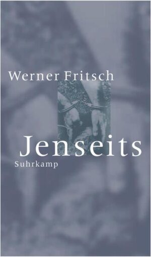 Mit »Jenseits« wagt sich der Autor und Filmemacher Werner Fritsch tief in die Seelenlandschaft eines Mannes, den die Unterwelt zeitlebens in Bann gezogen hat und jenseits von Gut und Böse, jenseits von Wirklichkeit und Halluzination, vielleicht schon jenseits seines eigenen Körpers befindet sich Wolfram Sexmachine Kühn, der verdächtigt wird, seine Ehefrau Cora, Mutter seines Sohnes Felix, umgebracht zu haben. Bevor ihn die Polizei stellt, wird er von jemandem, der sich hinter einer Karnevals-Hitlermaske verbirgt und ihm einen Revolver an den Kopf hält, bedroht. Wer aber ist der Mann hinter der Maske? Ist es Klostermeyer, der ehemalige Zuhälter Coras, in dessen Bett ihr toter Körper gefunden wurde? Oder einer von Klostermeyers Killern? Oder der Maler Johannes, der Cora kurz vor ihrem Tod gemalt hat? In Wolframs Kopf jedenfalls läuft wie im Zeitraffer sein Leben ab - der vielleicht ›letzte Film‹. »Jenseits« ist: eine radikale Prosa, in der ein Mann in Sekunden des Entstetzens reflektiert, was ihm bleibend erinnerlich ist, und es dominieren: Bilder von Sex und Gewalt. »Jenseits« ist: eine rauhe Prosa mit einem ››metaphysischen Glutkern‹‹.