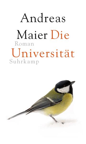 Frankfurt, die Universität, 1988, 1989. Damals noch ein ganz anderes Studium, Magister, eigentlich völlige Freiheit in allem. Das Betätigungsfeld erstreckt sich vom Biertrinken im „Doctor Flotte“ bis hin zu Seminaren über Wahrheitstheorie, die den Studenten der Philosophie schon innerhalb eines Semesters zu Arztbesuchen treiben. Es droht ein völliger Verlust der eigenen Person, und auch die Zeiten geraten durcheinander: Auf der Suche nach einer Studentenbude stößt der Protagonist auf ein Erotikmagazin, in dem er eine alte Liebe aus dem Jahr 1983 wiederzuerkennen glaubt. Aus seiner Matratzengruft, in der er sich verzweifelt-lethargisch einrichtet, rettet ihn ausgerechnet ein Pflegefall: Gretel Adorno, die uralte Witwe des Philosophen, bei der er durch seinen Studentenjob Dienst tut. Er läßt sich von ihr zerkratzen und beschimpfen, aber eigentlich versteht er sich mit ihr besser als mit seiner ganzen Umwelt. Die Universität ist ein Roman über die Möglichkeit, überhaupt von so etwas wie „Ich“ oder „Person“ zu sprechen. Es ist jener Zustand Anfang zwanzig, in dem wir zwar noch im Rollenspiel der Jugend verhaftet sind, zugleich aber längst begriffen haben, daß es irgendwo anders hingehen muß.