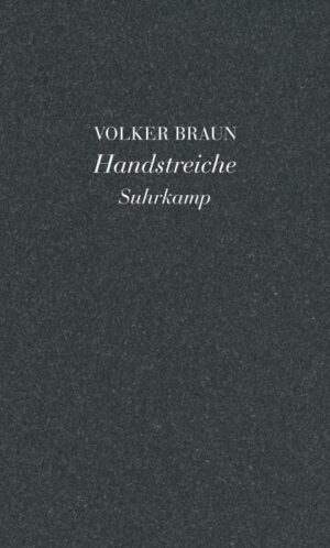 Über welche Möglichkeiten verfügt unter den gegenwärtigen Bedingungen ein Schriftsteller zum Eingreifen in den Lauf der Dinge? Ein mit allen literarischen Traditionen vertrauter Volker Braun bedient sich der bewährten Prosaformen, um diesem Zweck näherzukommen: Aphorismen, Dialogfetzen, Zitaten. In seiner Werkstatt entstehen Träume, Rätselhaftes, eigensinnige Wahrheiten, Beobachtungen zum schreibenden und fühlenden Ich und zur Welt. Solche handstreichartigen Überfälle erfolgen in der Schelmenperspektive: Der Schelm gründet sein Denken und Handeln auf den plebejischen Umgang mit den Dingen, ungehobelte Einsprüche, Angriffe und Verteidigungen, Burlesken, Handgriffe, Fingerzeige, Rippenstöße.