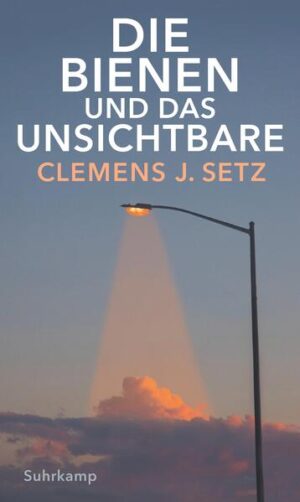 Pure meaning, pure poetry - diese Idee scheint Menschen in allen Jahrhunderten umzutreiben und anzustacheln. Sie ist der Motor für die Erfindung von Sprachen wie Esperanto, Volapük oder Blissymbolics. Den Anekdoten hinter diesen Plansprachen geht Clemens J. Setz in Die Bienen und das Unsichtbare nach, getreu dem Motto: »Erzähl die beste Geschichte, die du kennst, so wahr wie möglich.« Und diese Geschichte handelt unter anderem von Charles Bliss und seiner Symbolsprache, von Kindern mit Behinderung, die sich mit Blissymbolics zum ersten Mal ausdrücken können. Davon, wie Clemens J. Setz einen Sommer lang Volapük lernt und selbst eine eigene Sprache entwickelt. Es geht um die vermutlich einzige Volapük-Muttersprachlerin, die je gelebt hat, und die Plansprache Talossa für die gleichnamige Mikronation, die ein Teenager 1979 in seinem Schlafzimmer ausrief. Um Klingonisch und High Valyrian, eine Sprache, die für die Fernsehserie Game of Thrones geschaffen wurde. Und um Esperanto, die größte Erfolgsgeschichte in der Welt der Plansprachen, deren Sprecher unter Stalin und Hitler verfolgt wurden und durch die ein junger blinder Russe zum Dichter, Abenteurer und anarchistischen Weltgelehrten wurde. Stets ist es die eigenartige Vermengung von tiefer existenzieller Krise und Sprachenerfindung, die Setz aufspürt und die ihn in ihren Bann schlägt - und so ist dieses Buch auch die persönliche Geschichte des Sprachkünstlers Clemens J. Setz.