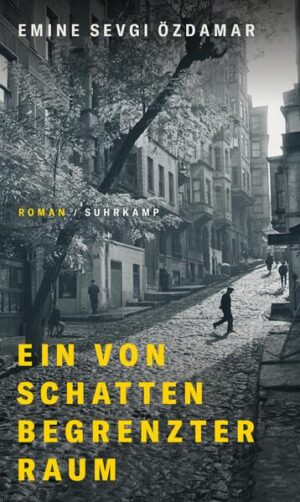 Nach dem Putsch 1971 hält das Militär nicht nur das Leben, sondern auch die Träume der Menschen in der Türkei gefangen. Künstlerinnen und Künstler, Linke, Intellektuelle fürchten um ihre Existenz