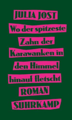 »Ein reiches und reichhaltiges Buch. Diese heitere Bösartigkeit führt vielleicht zur Verbesserung der Welt oder ins nächste Wirtshaus.« Elfriede Jelinek Es ist das Jahr 1994. In einem Kärntner Dorf am Fuß der Karawanken sitzt die Erzählerin unter einem Lkw und beobachtet die Welt und die Menschen knieabwärts. Sie ist elf Jahre alt und spielt Verstecken mit ihrer Freundin Luca aus Bosnien. Zum letzten Mal, denn die Familie zieht um. Der Hof ist zu klein geworden für den Ehrgeiz der Mutter, die ausschließlich eines im Kopf hat - bürgerlich werden! Nach und nach treffen immer mehr Nachbarsleute ein, um beim Umzug zu helfen, und das Kind in seinem Versteck beginnt zu erzählen: von seiner Angst, im Katzlteich ertränkt zu werden, weil es kurze Haare hat. Weil es Bubenjeans trägt. Weil es heimlich in Luca verliebt ist. Dabei ist sie nicht die Einzige, die etwas verbergen muss. Sie kennt Geschichten über die Ankommenden, die in tiefe Abgründe blicken lassen und doch auch Mitgefühl wecken. Julia Jost schildert in ihrem Debütroman das Aufwachsen in einer archaischen Bergwelt zwischen Stammtisch und Beichtstuhl - und wie man hier als querstehendes Kind überlebt und sich der vorgegebenen Ordnung widersetzt: dank einer zärtlichen Freundschaft und durch ein wildes, überbordendes Erzählen, das die Wirklichkeit besser macht, als sie ist.