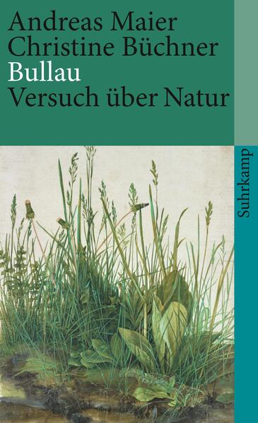 …aber die Wahrheit ist, daß wir uns gar nicht interessieren für Ehrenpreis oder Kleiber oder Weg 2 unterhalb des Bullauer Hofs. Es ist kein Interesse, es ist etwas anderes. Es ist vielleicht eine Sehnsucht. Eine Sehnsucht nach dem, wie es sein könnte. Wie es sein könnte, wenn etwas anders wäre. Ja, aber was?