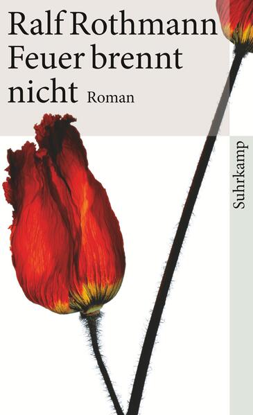 Berlin, fast zwanzig Jahre nach dem Mauerfall. Kreuzberg ist gesichtslos geworden und so ziehen die Buchhändlerin Alina und der Schriftsteller Wolf an den grünen Rand der Stadt. Am Müggelsee, wo die Unterschiede zwischen Ost und West noch nicht verwischt sind, leidet Wolf aber zunehmend unter den „Details der Zweisamkeit“. Plötzlich taucht Charlotte auf, eine Geliebte aus der Vergangenheit, und er ergreift die Flucht, befeuert von ihrem offensiven Eros. Als er „die Hölle der Verheimlichung“ hinter sich hat, ist Wolf überrascht: Seine Frau akzeptiert das Verhältnis zu der anderen nicht nur, sie ermuntert ihn sogar. Ralf Rothmann hat einen Roman über das behutsame Zusammenwachsen von Ost und West und eine Chronik des erotischen Begehrens geschrieben, eine dunkel-glühende Liebesgeschichte.