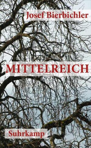 Eine Seewirtschaft in Bayern, bizarre Gäste und eine Familie über drei Generationen, heillos verstrickt ins ungeliebte Erbe. Josef Bierbichler, der große Menschendarsteller des deutschen Theaters und Films, erzählt hundert Jahre Deutschland. Ein Epos über Krieg und Zerstörung, alte Macht und neuen Wohlstand, über die vermeintlich fetten Jahre. Im Ersten Weltkrieg zerschlägt eine feindliche Kugel zuerst den Stahlhelm und dann den Schädel des ältesten Sohnes vom Seewirt. Also muss sein jüngerer Bruder Pankraz das väterliche Erbe antreten. Der überlebt zwar den zweiten großen Krieg, wäre aber trotzdem lieber Künstler als Bauer und Gastwirt geworden. Da braucht es schon einen Jahrhundertsturm, der droht, Haus und Hof in den See zu blasen, damit aus Pankraz doch noch ein brauchbarer Unternehmer und Familienvater wird.