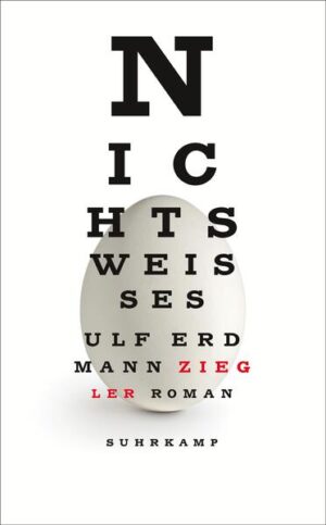 Der Roman einer Generation, für die das Hereinbrechen des Computerzeitalters identisch ist mit dem eigenen Erwachsenwerden. Randscharf, raffiniert, brillant. Dies ist die Geschichte von Marleen, die sich, noch ehe sie lesen lernt, in die Welt der Buchstaben verliebt. Hineingeboren in eine erfolgreiche Werber- und Illustratorenfamilie, träumt sie früh von wahrhaft Großem: der perfekten Schrift. An der Kunsthochschule hat sie Rückenwind, kann Marleen sich selbst Kontur verleihen. Ihr Pioniergeist treibt sie voran, bald steckt sie mittendrin in der Jobwelt der Achtziger - und erliegt deren Verheißungen. Die Medien erfahren einen Schub, plötzlich geht alles rasend schnell, schon hat man den Halt verloren. Sie muss erste Rückschläge einstecken, berufliche wie private. Flexibilität ist gefragt, schon in den Anfangszeiten der Globalisierung, und Marleen gibt sich flexibel, koste es, was es wolle - in der Hoffnung, dass ihr Traum weniger flüchtig ist als die Welt, gegen die es gilt, ihn wahrzumachen.