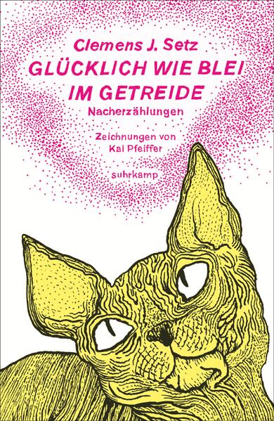 »Vor einigen Monaten«, schreibt Clemens Setz, »fand ich in einer Mappe einige alte Erzählungen wieder, die ich als Achtzehn- oder Neunzehnjähriger verfasst hatte. Als ich diese Texte durchblätterte, fiel mir auf, dass ihre Titel, wenn man sie untereinanderschreibt, ein Gedicht im Stil der New York Poets ergeben. Ich stellte die Titelliste auf den Suhrkamp-Blog und schrieb Zusammenfassungen einiger Erzählungen. So entstand die Idee zu dem vorliegenden Band. Das heißt, eigentlich schlug mir Kathrin Passig vor, ich solle doch ein ganzes Buch daraus machen.« Es gibt Geschichten, die sind so abgründig, dass sie sich öffentlich nicht erzählen, sondern nur nacherzählen lassen. Natürlich vom Autor selbst. Hier sind sie. Fünfundvierzig an der Zahl und jede einzelne nicht weniger abgründig illustriert von Kai Pfeiffer.