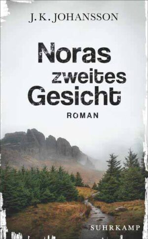 Noras zweites Gesicht Roman | Ein düsterer Psychothriller aus Skandinavien | J. K. Johansson