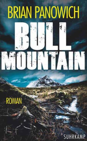 Bull Mountain | Brian Panowich