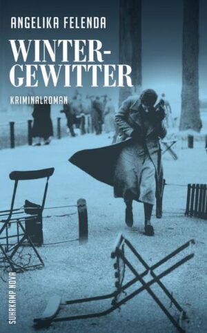 München 1920. Kommissär Reitmeyer ist aus dem Krieg zurückgekehrt, versucht die dort erlittenen Traumata vor seiner Umgebung zu verbergen und dämpft aufkommende Panikattacken mit Geigenspiel. Dabei hat die Polizei alle Hände voll zu tun: Nahrungsmangel und Geldentwertung haben dazu geführt, dass die Stadt von einer regelrechten »Diebstahlseuche« heimgesucht wird und Schieber und Schleichhändler dicke Geschäfte machen. Da wird die junge Cilly Ortlieb, Kleindarstellerin in schlüpfrigen Produktionen des Münchner Filmkonzerns Emelka, tot im Keller einer Gastwirtschaft gefunden. Was zunächst wie ein Unfall aussieht, entpuppt sich als Mord mit einer großen Menge Morphium. Während die rechte Einwohnerwehr durch die Straßen Münchens marschiert, sucht Kommissär Reitmeyer - von seinen Vorgesetzten argwöhnisch beäugt - in illegalen Spielclubs, Bars und Geheimbordellen nach einem zweifachen Frauenmörder. Dabei begegnet er Gerti Blumfeld, die auf der Suche nach ihrer abgetauchten Schwester eines der Mordopfer kennengelernt hat und bald selbst auf die Todesliste des Täters gerät …