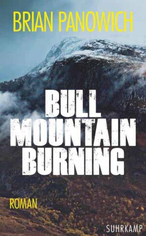 Bull Mountain Burning | Brian Panowich