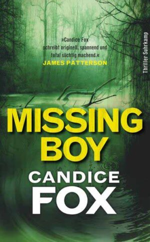 Missing Boy | Candice Fox