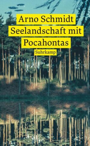 Die Geschichte einer spontanen und flüchtigen Sommerliebe in der niedersächsischen Seelandschaft - die vielleicht zärtlichste Prosa Arno Schmidts. Joachim, Schriftsteller und Atheist, verbringt zusammen mit seinem Freund Erich im Sommer 1953 ein paar Urlaubstage am Dümmer, einem niedersächsischen See. Als sie Annemarie und Selma, zwei junge Sekretärinnen, kennenlernen, versuchen die beiden ehemaligen Kriegskameraden ihr Glück. Joachim und Selma verlieben sich ineinander. Gemeinsam paddeln sie auf dem See und verlieren sich in erotischen Traumwelten. Doch immer wieder durchbrechen die rotzigen Kommentare Joachims zu Christentum und Adenauerrestauration das sommerliche Idyll und tauchen die Realität der 50er Jahre in unbarmherzig grelles Licht. Wie stark die gesellschaftlichen Konventionen sind, muss Joachim am Ende selbst schmerzhaft erfahren.