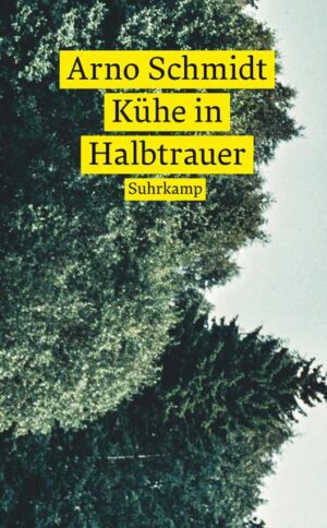 Zwischen pornografischem Lachkabinett und Orpheusmythos treffen sich Joyce und Karl May, Faulkner und Freud, lesbische Erinnyen und Kühe in Halbtrauer. Unbeschwert zündet Schmidt in der Ereignislosigkeit der Heide sein Sprachfeuerwerk. In den Ländlichen Erzählungen spielt der »Klarglaswitzbold« und »Wortmetz« Arno Schmidt Themen und Situationen durch, die er später in Zettel's Traum wiederverwendet - Fingerübungen für sein Hauptwerk. Zustände der Wohlfahrtswelt, ländlich-sittlich filtriert, werden mit sarkastischer und lakonischer Genauigkeit beschrieben. »Ich finde seinen Humor großartig. Die Art und Weise, wie er aus einem Nichts, aus Alltäglichkeiten, die jeder erleben könnte, wenn er die Augen aufmacht, Literatur macht - also diese Mischung von Banalität und großer Kunst, die ist wunderbar.« Bernd Rauschenbach