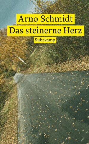 In diesem »Historischen Roman« erzählt Walter Eggers, ein besessener Sammler, von seiner Jagd nach alten Staatshandbu?chern aus dem Königreich Hannover. Sie führt ihn zunächst zur erotisch bedürftigen Nachfahrin eines Historikers im niedersächsischen Ahlden, dem Ort, in dem die Prinzessin Sophie Dorothea von Braunschweig-Lu?neburg einst jahrzehntelang wegen ihres Ehebruchs arrestiert war. Später reist Eggers bis nach Ost-Berlin, um dort in der Staatsbibliothek ein Buch zu stehlen, und berichtet vorurteilslos über den neuen Staat DDR. Der erste bundesrepublikanische Roman, der in beiden deutschen Staaten spielt, konnte 1956 nur kastriert erscheinen: Zu gewagt erschienen dem Verleger die politischen Kommentare zur Adenauer-Restauration und die Erotica.