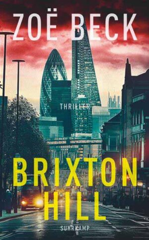 Brixton Hill Thriller | Falsches Spiel um Cyber-Widerstand und düstere Geheimnisse | Zoë Beck