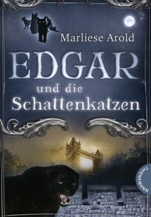 London im 19. Jahrhundert. Mr. Silver, ein Magier, der mal als Mensch, mal als schwarzer Panther sein Unwesen treibt, hat einen Pakt mit dem Teufel geschlossen: Er muss ihm 999 menschliche Seelen beschaffen. Ein Heer dämonischer Schattenkatzen steht ihm dabei zur Seite. Straßenkater Edgar kommt diesen Machenschaften auf die Spur. Gemeinsam mit seinem besten Freund Algernon und der klugen Antiquariatskatze Leyla gibt er alles, um dem schrecklichen Mörder das Handwerk zu legen.