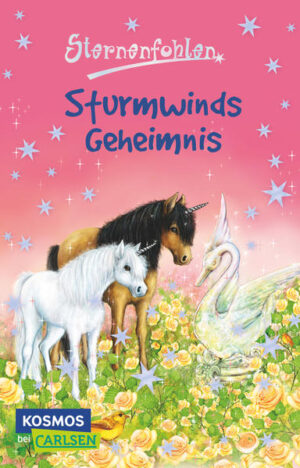 Silas und Marwin sind so gemein! Auf dem Schulausflug zum Traumsee ärgern sie ständig den armen Sturmwind. Wolke möchte ihrem Freund helfen, denn das große Pony wird immer trauriger. Doch auch Wolke hat mit einem Geheimnis zu kämpfen: Weil sie als Fohlen ins Wasser gefallen ist, hat sie Angst, im See zu baden. Doch plötzlich ist die kleine Donna in Not und Wolke wächst über sich hinaus! Und auch Sturmwind entdeckt ein magisches Talent, denn der Traumsee ist ein ganz besonderer Ort.