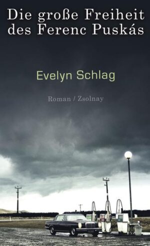 Oktober 1956: Nahe der Grenze fallen Schüsse, Blut fließt. Schnell ist der Traum von der großen Freiheit in Ungarn vorbei. István Földesch flüchtet mit seiner Frau Etelka und dem Sohn László über die grüne Grenze. In einer Molkerei findet die Familie rasch Arbeit. Viele Jahre später begegnen sich der Rechtsanwalt Valentin Görtz aus Österreich und der Ungar László Földesch an einer Tankstelle. Obwohl sie sich nie zuvor gesehen haben, sind ihre Biographien eng miteinander verknüpft. Görtz findet heraus, dass sein Vater einst der Anwalt des Molkereidirektors war, und auch bei seiner Lebensgefährtin Katharina setzt László Erinnerungen in Gang.