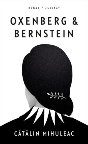 Die reiche Dora Bernstein und ihr Sohn Ben aus Amerika besuchen Iasi, die Wiege der rumänischen Kultur. Eine junge Frau, Suzy, zeigt ihnen die Stadt. Wenig später macht Ben ihr einen Antrag. Sie heiraten, und Suzy fängt an, sich für die Geschichte ihrer neuen Familie und die ihrer alten Heimat genauer zu interessieren. Sie stößt auf ein Mädchen, das 1947 mit 17 Jahren nach Wien gekommen ist. Als Einzige einer angesehenen Familie ist es ihr gelungen, das Pogrom in Iasi und den Holocaust zu überleben. Im Wiener Rothschild-Spital findet sie Zuflucht und erweist sich als begabte Schneiderin. Dort trifft sie einen GI, der ihr den Hof macht. Mit diesem beeindruckenden Familienroman ist ein großartiger Erzähler zu entdecken.