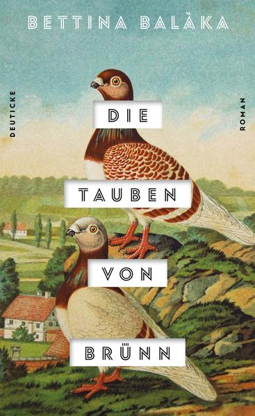 Ein Brieftaubenzüchter, ein Lotteriegewinn und die Geschichte eines großen Betrugs: die Geschichte des berühmt-berüchtigten Wieners Johann Karl von Sothen. Spannend und atmosphärisch dicht erzählt: die Geschichte des berüchtigten "Lotteriebarons" Johann Karl von Sothen. Als der Brieftaubenzüchter Wenzel Hüttler 1840 einen Lottogewinn macht, stiehlt Sothen, der im selben Haus wohnt, den Lottoschein und legt so den Grundstein für sein Vermögen. Nach Hüttlers Tod betreibt dessen Tochter die Brieftaubenzucht in Brünn weiter. Sothen fingiert Verliebtheit, und sie hilft ihm gegen ihren Willen beim Betrug der Lotterie: Wenn in Brünn die Ziehung erfolgt ist, kann man in Wien noch setzen, bis der reitende Bote mit den Gewinnzahlen eintrifft. Eine Taube ist jedoch viel schneller... Sothen wird unermesslich reich und in den Adelsstand erhoben - doch auch für ihn kommt der Zahltag.