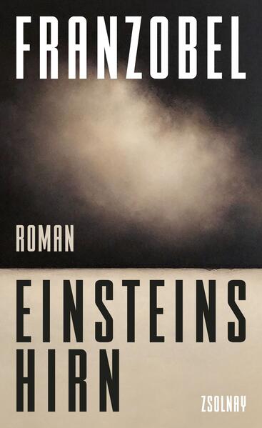 Wie im „Floß der Medusa“ erzählt Franzobel eine neue erfundene wahre Geschichte: Der Pathologe Thomas Harvey stiehlt Einsteins Hirn und behält es sein Leben lang. Am 18. April 1955 kurz nach Mitternacht stirbt Albert Einstein im Princeton Hospital, New Jersey. Seinem Wunsch entsprechend wird der Körper verbrannt und die Asche an einem unbekannten Ort verstreut. Vorher jedoch hat der Pathologe Thomas Harvey Einsteins Hirn entfernt, danach tingelt er damit 42 Jahre durch die amerikanische Provinz. Mit ihm erlebt Harvey die Wahl John F. Kennedys zum Präsidenten und die erste Landung auf dem Mond, Woodstock und Watergate und das Ende des Vietnamkriegs