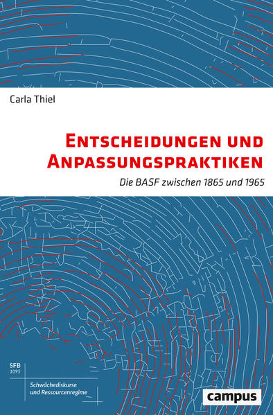 Entscheidungen und Anpassungspraktiken | Bundesamt für magische Wesen