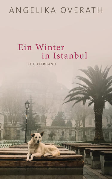 Goldenes Horn, Bosporus, das alte Byzanz: Angelika Overath erzählt von einer Stadt voller Schönheit und Widersprüche, in der eine unerwartete Liebe möglich wird. Einen Winter will Cla, Religionslehrer aus dem Engadin, in Istanbul verbringen. Er arbeitet an einer Studie über die Konstantinopel-Mission von Nikolaus von Kues. Doch kaum lernt Cla den jungen türkischen Kellner Baran kennen, taucht er mit ihm ein ihn die Stadt: Sie streifen durch die Gassen und über Märkte, sitzen am Meer und in Cafés, gehen ins Hamam. In ihren Gesprächen prallt die spätmittelalterliche Welt mit ihrer Trennung in Ost- und Westkirche unmittelbar auf das religiös gespaltene Istanbul der Gegenwart. Bei einem geheimen Treffen der Derwische erlebt Cla, wie nah sich christliche Mystik und islamischer Sufismus sein können. Ohne es zu wollen hat er sich in Baran verliebt. Erst als seine Verlobte aus der Schweiz zu Besuch kommt, begreift Cla, wie weit er aus seinem Leben gefallen ist.