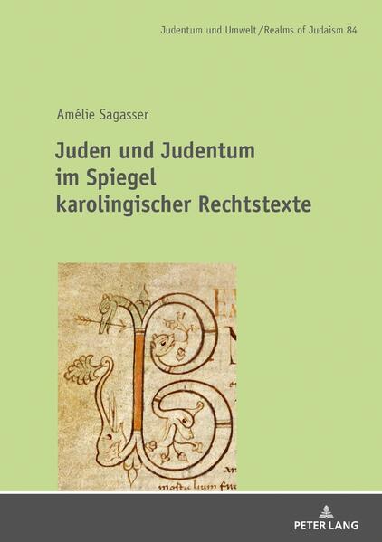 Die Studie widmet sich den Anfängen des aschkenasischen Judentums. Ausgehend von Rechtstexten, bietet sie eine Zusammenschau der facettenreichen und teils widersprüchlichen Bilder, die christliche Autoritäten zwischen 750 und 950 von Juden und der jüdischen Religion zeichneten. Es geht nicht darum, eine stringente Judenpolitik aufzuzeigen. Im Mittelpunkt stehen vielmehr die Intentionen der Herrschaftsträger im Umgang mit Juden und deren Traditionen. Zentral ist die Frage, ob es in der sozialen Wirklichkeit verankerte Juden waren, zu denen sich die weltlichen und kirchlichen Akteure äußerten, oder ob es sich um «konstruierte», also imaginäre Juden handelte, die als Exempel für den Umgang mit Randgruppen und Minderheiten instrumentalisiert wurden.