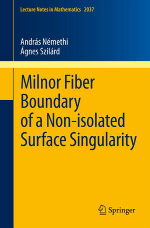 Milnor Fiber Boundary of a Non-isolated Surface Singularity | Bundesamt für magische Wesen