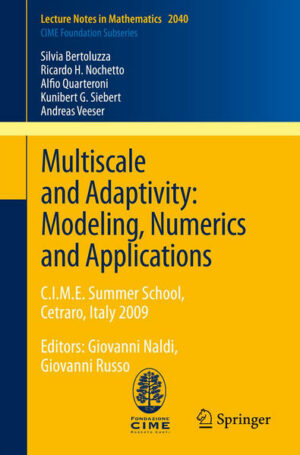 Multiscale and Adaptivity: Modeling, Numerics and Applications | Bundesamt für magische Wesen