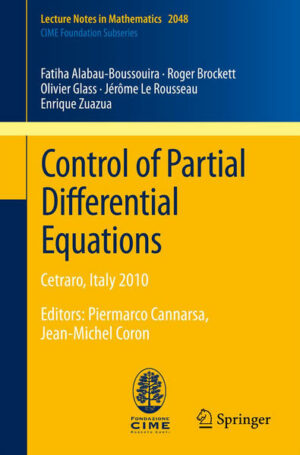 Control of Partial Differential Equations | Bundesamt für magische Wesen