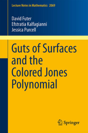 Guts of Surfaces and the Colored Jones Polynomial | Bundesamt für magische Wesen