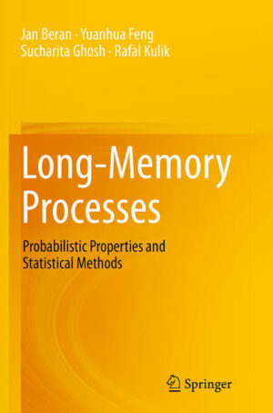 Long-Memory Processes | Bundesamt für magische Wesen