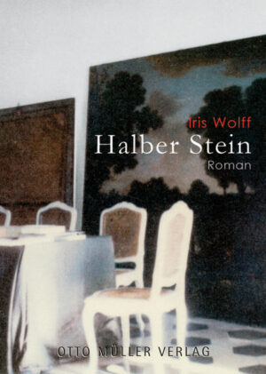 Sine, eine junge Frau, die nach Abschluss ihres Studiums auf der Suche nach ihrem beruflichen Weg ist, kehrt nach über 20 Jahren an den Ort ihrer Kindheit zurück. Ihre Großmutter Agneta ist gestorben, und gemeinsam mit ihrem Vater Johann ist sie zu deren Begräbnis nach Siebenbürgen gereist. Das Haus der Großmutter zieht sie vom ersten Augenblick an in ihren Bann: das Gebäude mit seiner geheimnisvollen Architektur, dem vermauerten Eingang zur ehemaligen Familienfärberei, den verschiedenfarbigen Räumen, Winkeln, Aufböden und Treppen erinnert sie an ihre Kindheit, die Zugehörigkeit zu Natur und Landschaft, das Spiel in Haus und Garten. In die Trauer um ihre Großmutter mischt sich die Trauer über die verloren geglaubte Heimat. Die Wiederbegegnung mit Julian, dem Freund der Kindheit, die Auseinandersetzung mit der Lebensgeschichte der Großmutter und die Erzählungen der Dorfbewohner lassen ein Bild der reichen kulturellen Vergangenheit Siebenbürgens entstehen. Details der Landschaft werden zu Metaphern einer Suche nach der eigenen Identität, und setzen in Sine einen Reifeprozess in Gang, der sie auch sich selbst näher bringt. Der in Michelsberg gelegene „Halbe Stein“, ein jahrhundertealtes Naturmonument, öffnet Sine den Blick für das Wesentliche: „Wenn man erinnert, kann man nicht verlieren.“ Iris Wolff gelingt in ihrem literarischen Debüt ein Roman von großer erzählerischer Stärke. In poetischen Landschaftsbildern wird die Familiengeschichte Sines geschildert, die Orte und Menschen werden durch die große Sprachkraft mit allen Sinnen erlebbar.