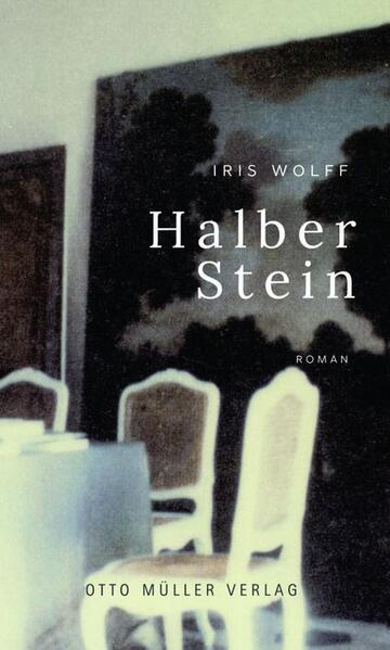 Sine, eine junge Frau, die nach Abschluss ihres Studiums auf der Suche nach ihrem beruflichen Weg ist, kehrt nach über 20 Jahren an den Ort ihrer Kindheit zurück. Ihre Großmutter Agneta ist gestorben, und gemeinsam mit ihrem Vater Johann ist sie zu deren Begräbnis nach Siebenbürgen gereist. Das Haus der Großmutter zieht sie vom ersten Augenblick an in ihren Bann: das Gebäude mit seiner geheimnisvollen Architektur, dem vermauerten Eingang zur ehemaligen Familienfärberei, den verschiedenfarbigen Räumen, Winkeln, Aufböden und Treppen erinnert sie an ihre Kindheit, die Zugehörigkeit zu Natur und Landschaft, das Spiel in Haus und Garten. In die Trauer um ihre Großmutter mischt sich die Trauer über die verloren geglaubte Heimat. Die Wiederbegegnung mit Julian, dem Freund der Kindheit, die Auseinandersetzung mit der Lebensgeschichte der Großmutter und die Erzählungen der Dorfbewohner lassen ein Bild der reichen kulturellen Vergangenheit Siebenbürgens entstehen. Details der Landschaft werden zu Metaphern einer Suche nach der eigenen Identität, und setzen in Sine einen Reifeprozess in Gang, der sie auch sich selbst näher bringt. Der in Michelsberg gelegene „Halbe Stein“, ein jahrhundertealtes Naturmonument, öffnet Sine den Blick für das Wesentliche: „Wenn man erinnert, kann man nicht verlieren.“ Iris Wolff gelingt in ihrem literarischen Debüt ein Roman von großer erzählerischer Stärke. In poetischen Landschaftsbildern wird die Familiengeschichte Sines geschildert, die Orte und Menschen werden durch die große Sprachkraft mit allen Sinnen erlebbar.