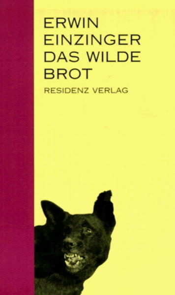 Augenblickstolle Gechichten und Nicht-Geschichten. So verrückt wie wir und alles um uns herum. Was, um alles in der Welt, haben Heilige und Hunde miteinander zu tun? Was religiöse Erweckungsbestrebungen mit jazzartigen Rhythmen? Und was all das mit dem "wilden Brot", dem bei zahlreichen Völkern als heilig geltenden Gebäck? Der Erzähler, gerade bei einem auf Devotionalien und sakralen Schmuck spezialisierten Versicherungsunternehmen tätig, geht diesen Verbindungen nach, von New York bis Rom. Doch wer sich eine fein gedrechselte Geschichte erwartet, wird enttäuscht. "Ich werfe mich dem verwilderten Erzählen in den Rachen wie einem gereizten Tier", heißt es mit schönstem Pathos an einer Stelle. In der Tat: Menschen, die immer ein wenig nach Schiffbruch aussehen, sei es nun ein geschwätziger Priester, eine Stripperin in einem halbseidenen Club oder der Bassist einer Eskimoband, geraten für Momente ins Zentrum einer Geschichte, die sich unvermittelt ergibt und gleich darauf wieder abbricht. Einzinger klittert Gesehenes und Gedachtes, Erlebtes und Erlesenes salopp wie immer, respektlos wie immer. Sein Interesse am Beiläufigen, Flüchtigen ist nicht zu übersehen. Und doch mischt sich in diese Polyphonie von Zeit zu Zeit eine ernste Stimme, die die Empörung über Unrecht und Gewalt in dieser augenblickstollen Wirklichkeit nicht zu unterscheiden vermag.