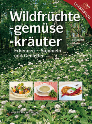 Kein modernes Kochbuch, das etwas von sich hält, kommt ohne ein Rezept für Wildsalat aus