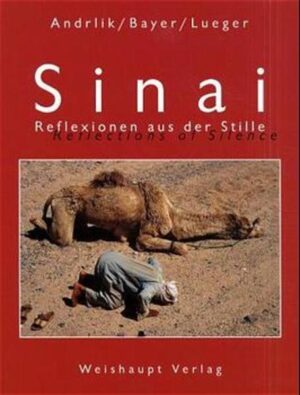 Sinai ist eine Gebirgswüste, ein karges Land mit großer spiritueller Kraft, das seit jeher von nomadisierenden Beduinen bewohnt wird. Die drei Autoren erleben in einer Karawane als "Nomaden auf Zeit" mit den Beduinen und ihren Kamelen diese Wüste. Das vorliegende Buch reflektiert in Wort und Bild das Leben der Beduinen, die grandiose Landschaft und die stillen Abenteuer.