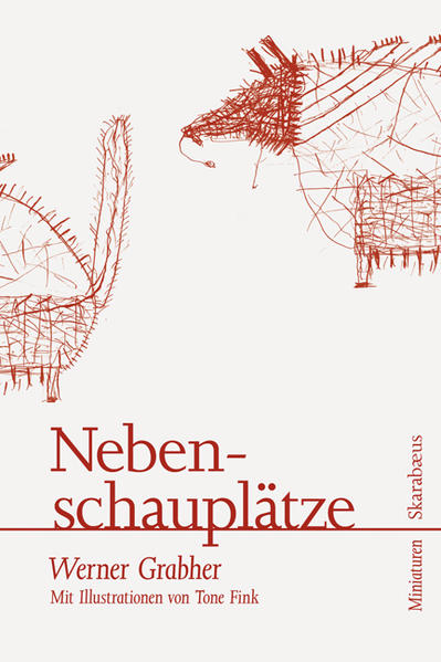 Die Hummel, die Möwe, der Seeigel, die Ameise, der Fisch und noch einige andere kleinere oder größere Tiere treten in Werner Grabhers Miniaturen in schicksalhafte Verbindung mit den Menschen. Zwischen extremer Naheinstellung und Totale wechselnd nähert sich der Autor Nebenschauplätzen, zeichnet vieldimensionale Bilder des Geschehens und entschleunigt mit Zeitlupeneffekten die Dramaturgie des Alltäglichen. So verwandelt sich in einer der Geschichten die Warteschlange vor dem Museum unversehens in ein Jackson-Pollock-Bild, während sich in einer anderen das dramatische Geschehen bei einem Fußballspiel vom Feld ins Abseits verlagert. Auf charmant nüchterne Weise macht Grabher den Leser mit der Anatomie verhängnisvoller Ereignisse vertraut. In seinen sprachlich inszenierten Kurzfilmen ereignen sich lauter Katastrophen. Aber von einer Geschichte zur andern hinterlässt Grabhers wertfreier Blick auf die Unausweichlichkeiten des Daseins eine ansteckend wirkende Gelassenheit. Kongenial begleitet und interpretiert von Illustrationen des Künstlers Tone Fink.