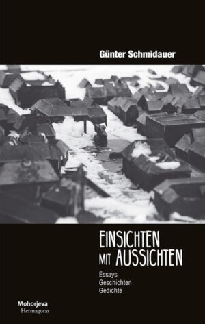 Eine Sammlung von Essays, satirischen Gedichten, Ausschnitten aus Theaterstücken, Vorträgen und Notizen der letzten 20 Jahre zu Österreich, Kärnten und Klagenfurt sowie über bekannte Persönlichkeiten. Günter Schmidauer versucht Betrachtungen in Erinnerung zu bewahren und sie auf ihre heutige Gültigkeit zu überprüfen. Unter den Persönlichkeiten finden sich unter anderem Anton Fuchs, Herbert Wochinz und Gerald Tomaschütz. Schwarz auf Weiß ist der Versuch, Visionen für Klagenfurt zu Papier zu bringen. Die leise Stadt, ein Essay über auffällige Unauffälligkeiten im Klagenfurter Stadtbild. 1918. Am Abgrund und darüber hinaus, Versuch über das Scheitern eines ganzen Kontinents