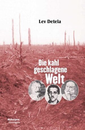 Lev Detela verschmilzt das Geschehen vor hundert Jahren mit der ironisch dargestellten Erforschung der damaligen Ereignisse an den wissenschaftlichen Instituten von heute. Die kühle, machpolitisch in anderen Sphären lebende politische Oberschicht der Monarchie rund um Kaiser Franz Josef und Thronfolger Franz Ferdinand schafft bisweilen eine apokalyptische Atmosphäre. Gleichzeitig begleitet der Autor den Attentäter Gavrilo Princip durch seine letzten Tage. Eine fiktive Parabel über die Gleichzeitigkeit von gestern und jetzt in einer Zeit, in der die blutigen Auseinandersetzungen zwischen Ideologien, Religionen, Nationen, Sprachen und Staaten, durch die das k. u. k. Reich zerfiel, in vielen Teilen der Welt in neuen Formen stattfinden. „Faszinierend dieses Antippen an Wirklichkeiten - dieses ausgezeichnet dargestellte Wirklichkeiten-Geflecht.“Peter Paul Wiplinger